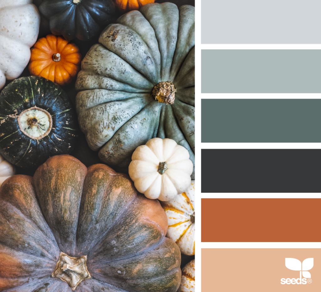 'Color Harvest' Color Palette from Design Seeds