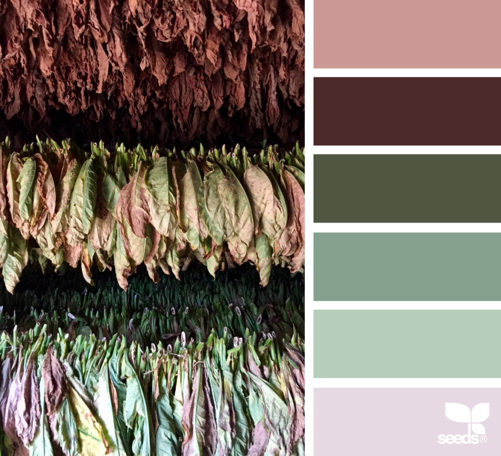 'Tobacco Tones' Color Palette from Design Seeds